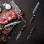 5  Piece Chef Knife Set  Japanese Kitchen Knives, High Carbon Stainless Steel Blades